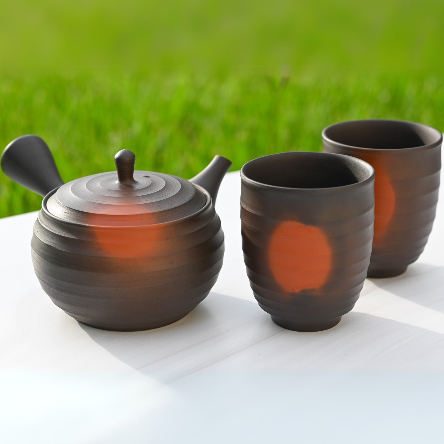 Aprika Life Japanese Kyusu Set - Teapot with Filters (270ml) and Two Cups