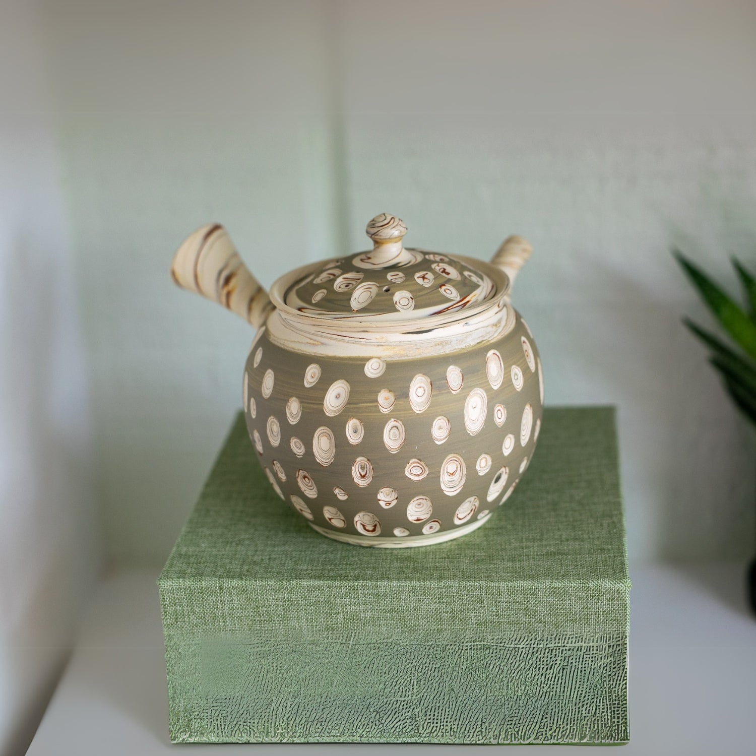 Aprika Life Japanese Kyusu