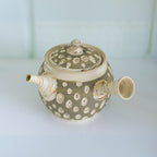 Aprika Life Japanese Kyusu Set - Teapot with Filters (370ml) and Two Cups