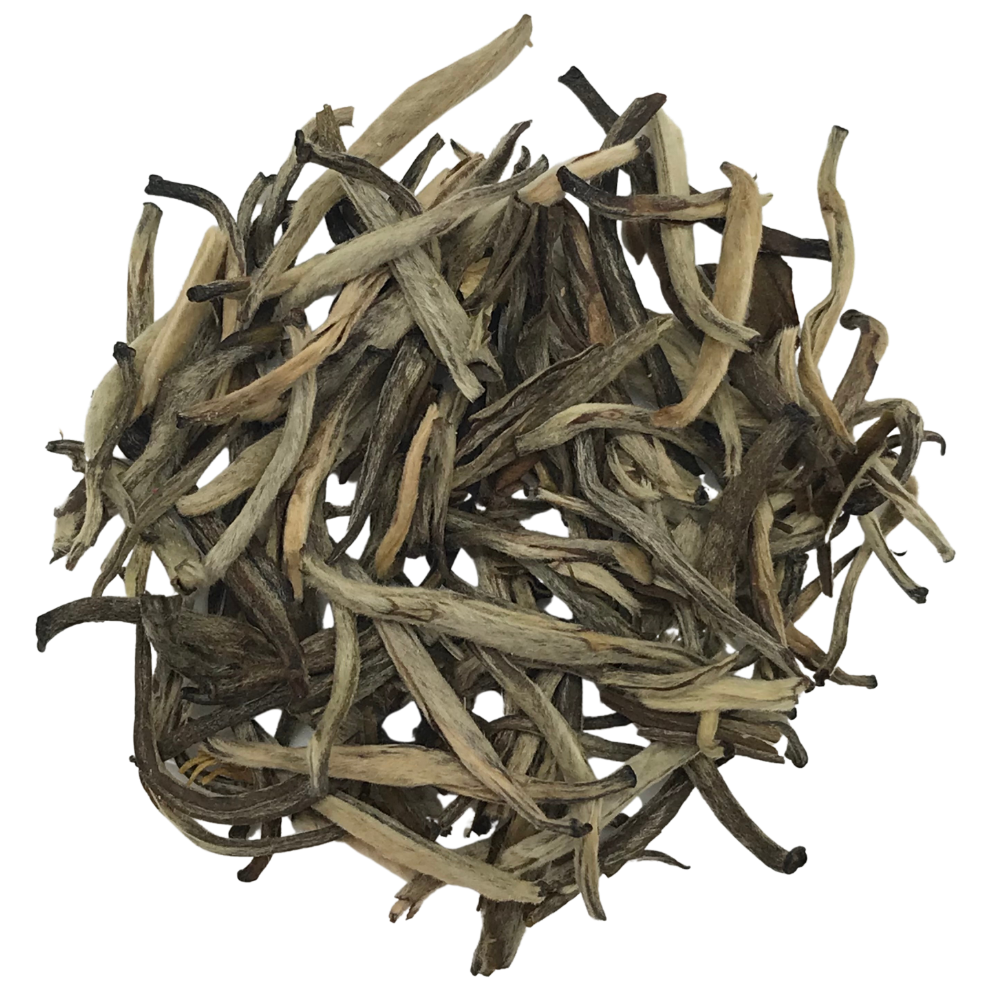 Apothecary Jasmine Silver Needle White Tea