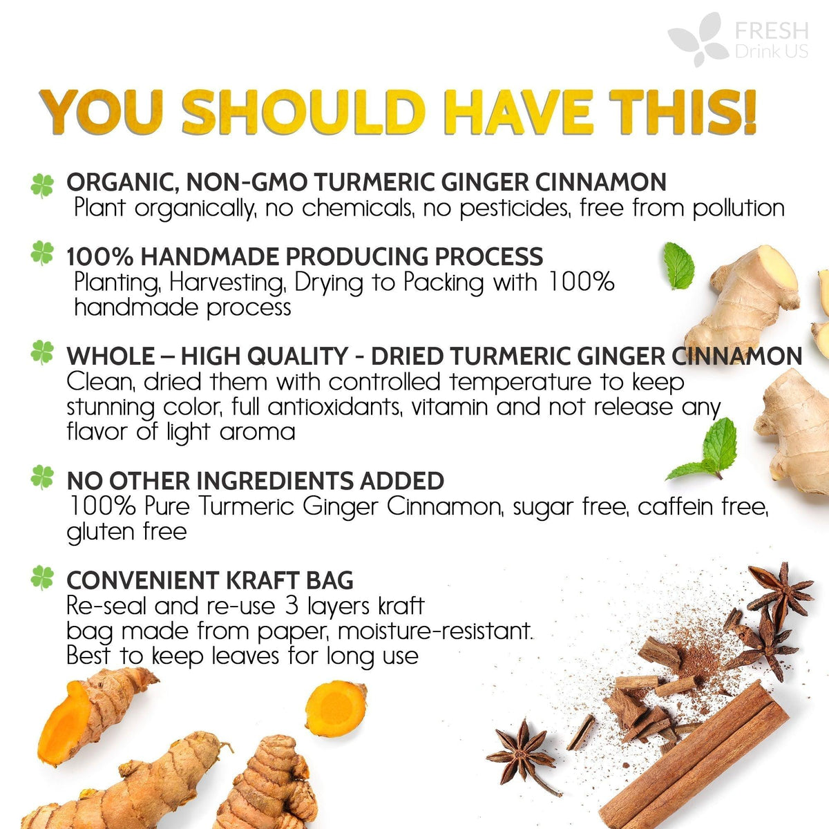 FreshDrinkUS Turmeric Ginger Cinnamon Tea Bags