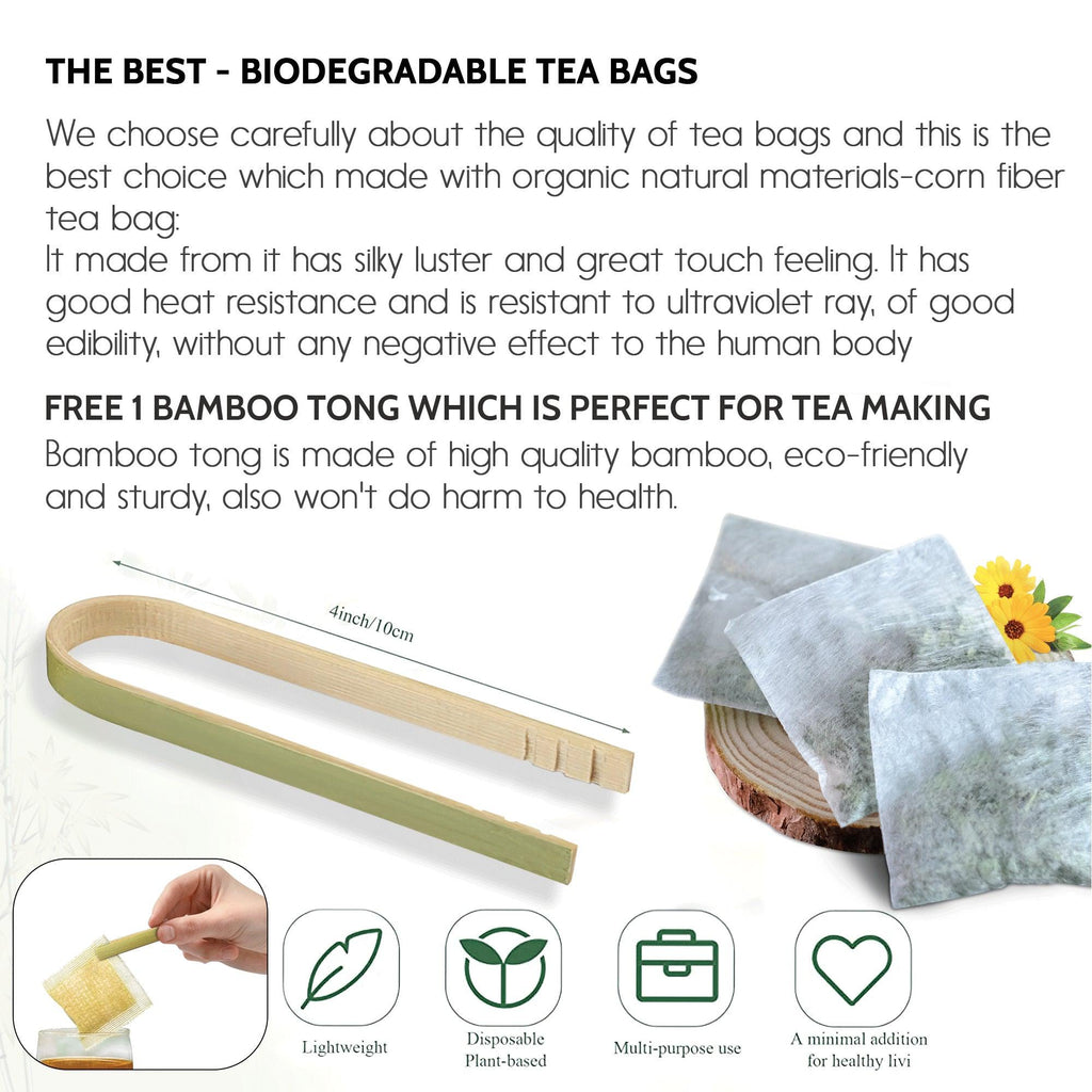 FreshDrinkUS Turmeric Ginger Cinnamon Tea Bags