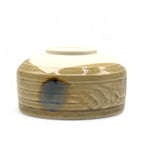 Inoue Kizeto Yellow Mino-yaki Chawan - Japanese Matcha Bowl
