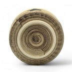 Inoue Hoshi Star White Mino-yaki Chawan - Japanese Matcha Bowl