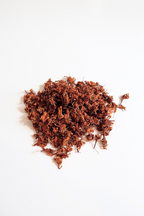 Mala Tara Coffee Flower Tea Pouch Herbal Tea
