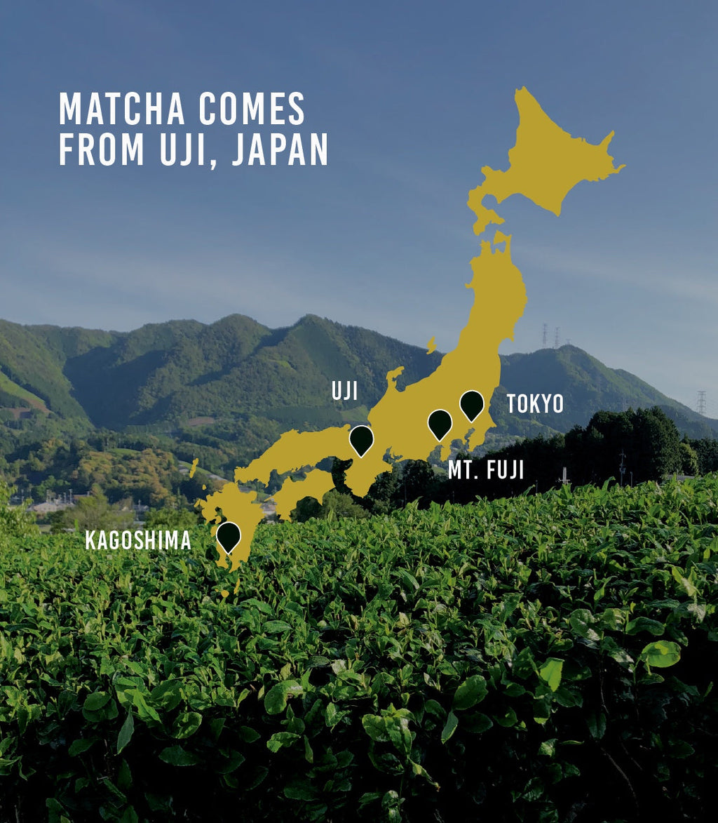 Harney & Sons Jobetsugi Ceremonial Matcha (Thin Grade) Tea