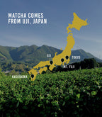 Harney & Sons Organic Matcha Tea