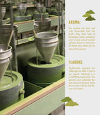 Harney & Sons Organic Everyday Matcha Tea