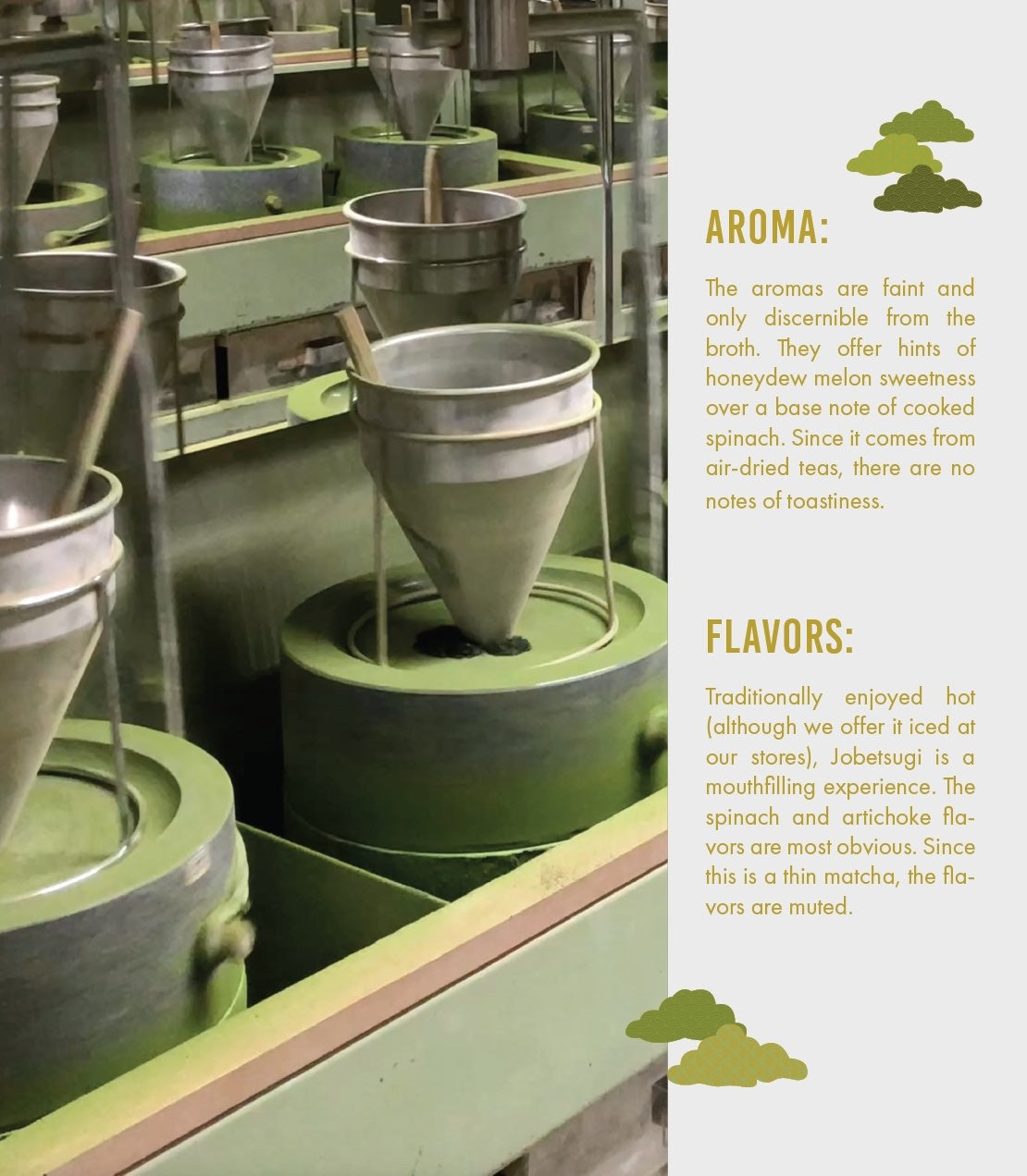 Harney & Sons Senjunomukashi Ceremonial Matcha (Thick Grade) Tea
