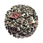 Beach House Mountain Valley Mint