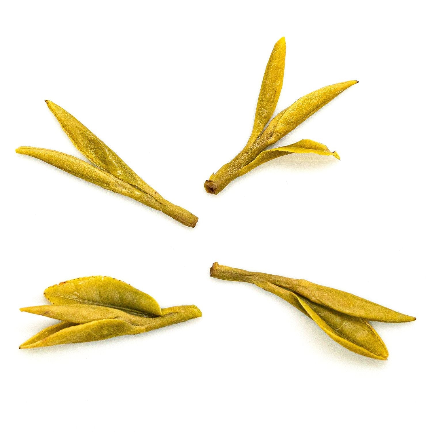 Tea Drunk Multi-Vintage Long Jing Tea Tasting Set