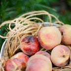 Piper and Leaf Orchard Peach Glass Jar of Loose Leaf Tea - 30 Servings displayed in a lifestyle setting.
