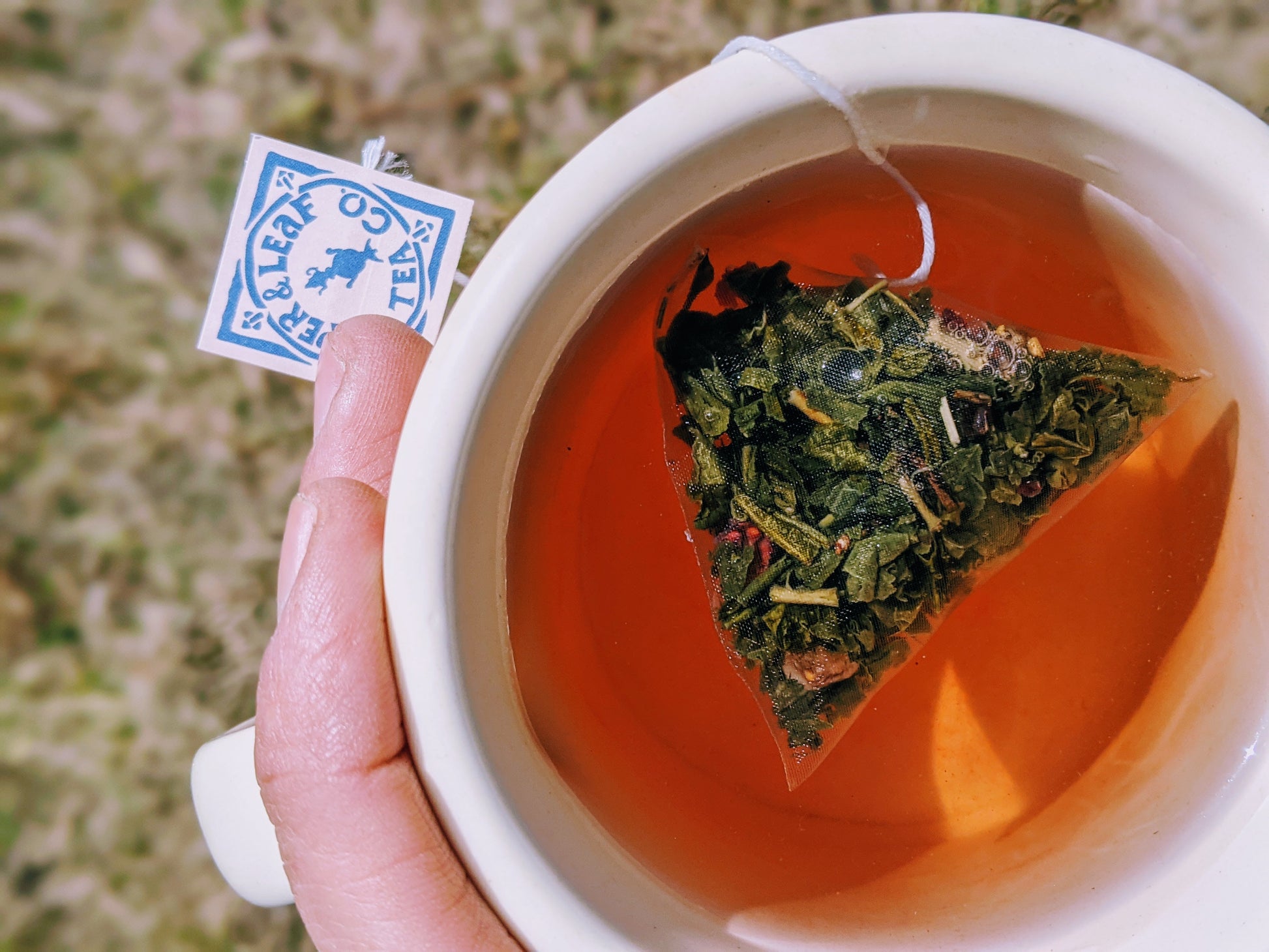 Piper and Leaf Sassyfras Strawberry Bulk Sachets - 70ct Tea Bags