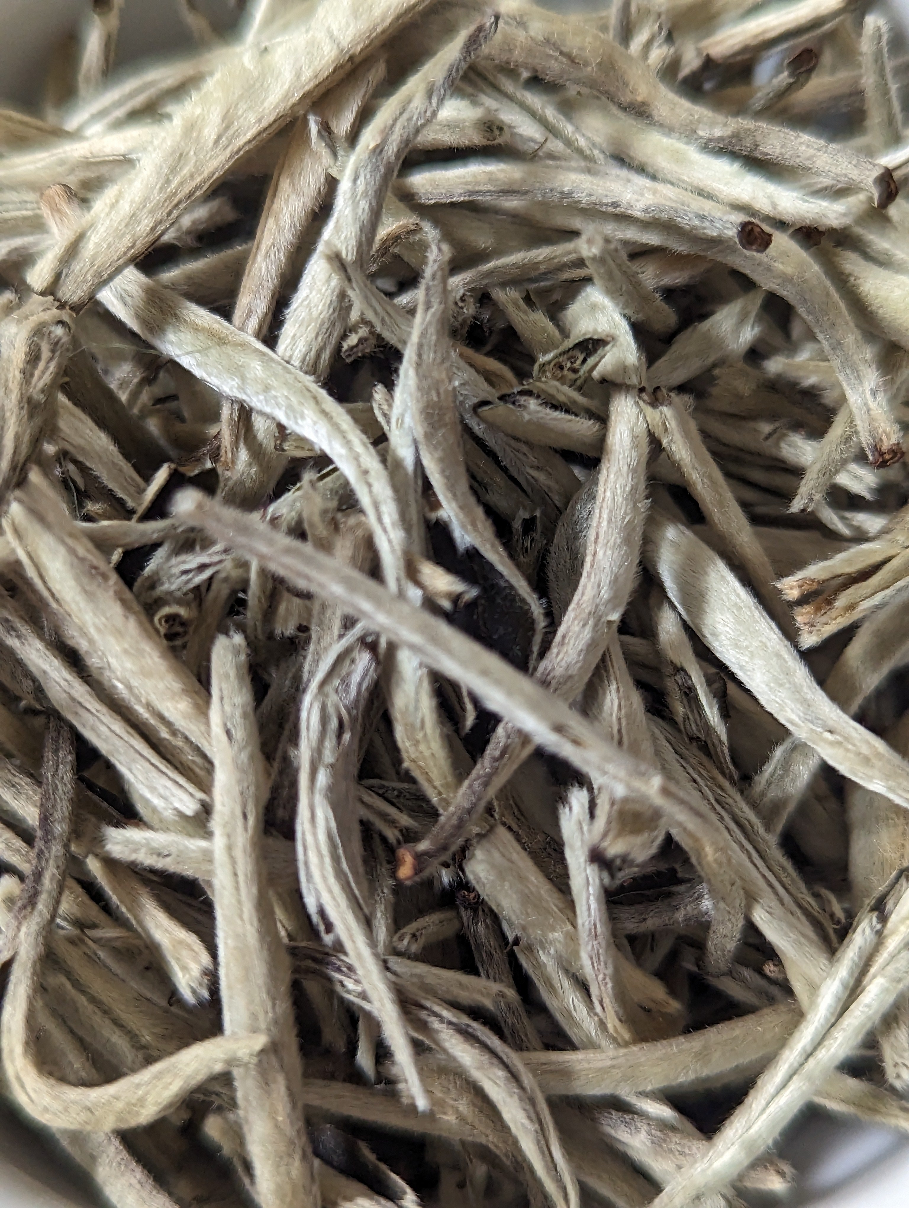 Zum Zum Imperial Silver Needle White Tea