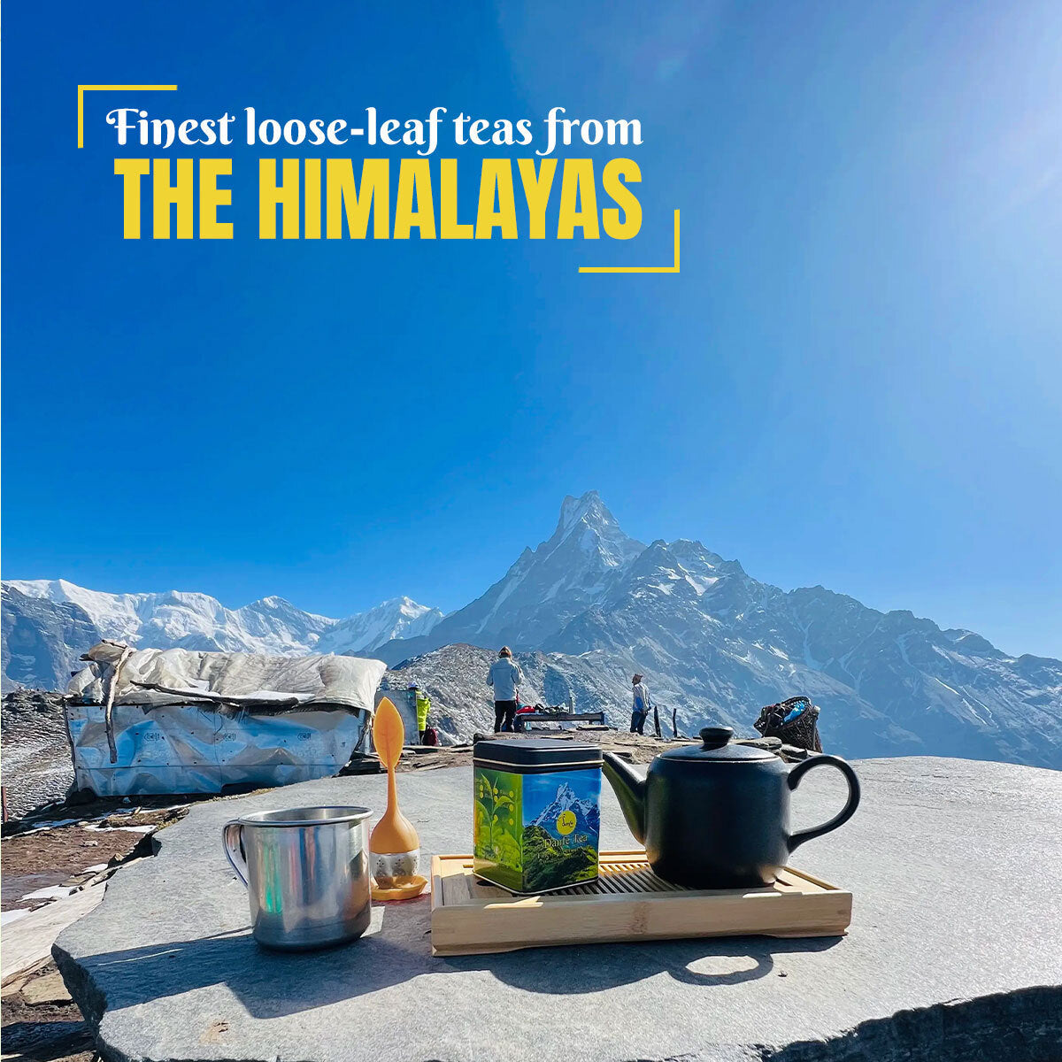 Danfe Himalayas Best White Tea