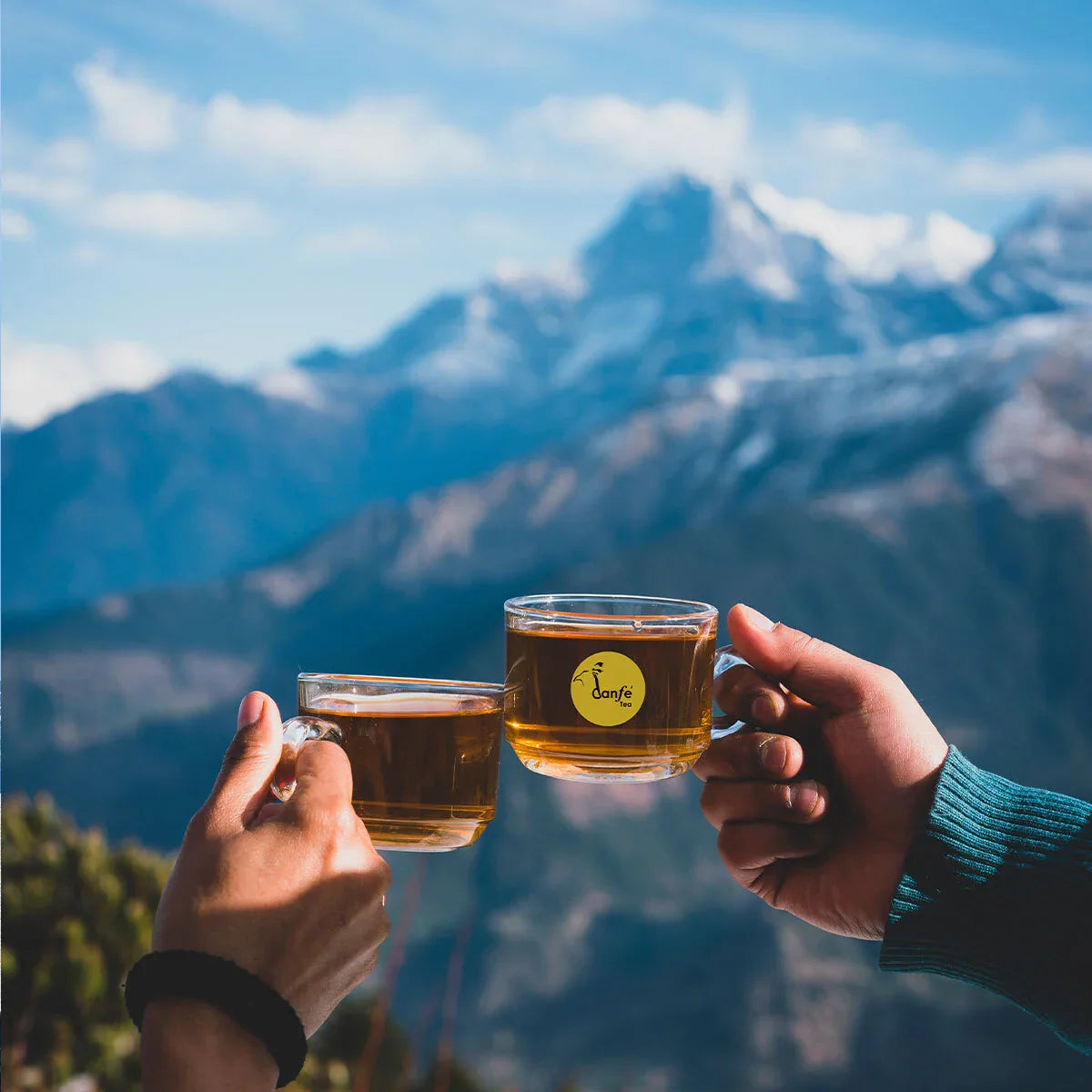Danfe Himalayas Best White Tea