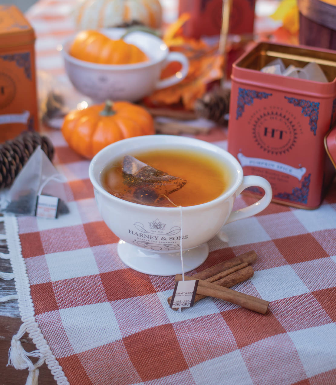 Harney & Sons Pumpkin Spice, HT Tin of 20 Sachets