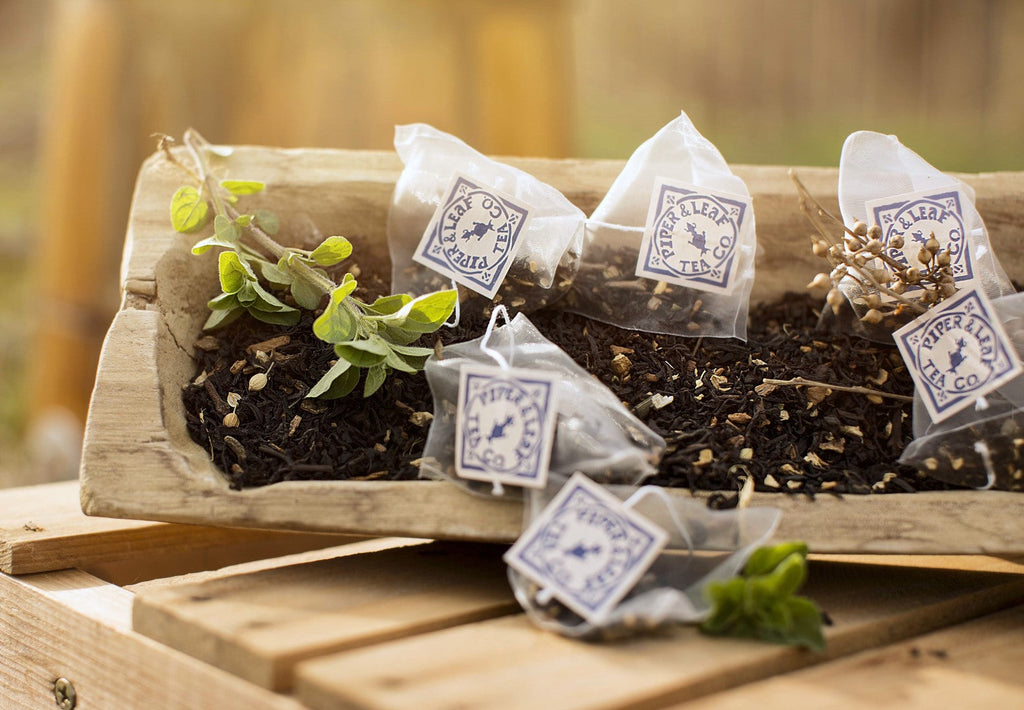 Piper and Leaf Sunrise Chai Bulk Sachets - 70ct Tea Bags, featuring tea bags displayed in a clean, organized manner.
