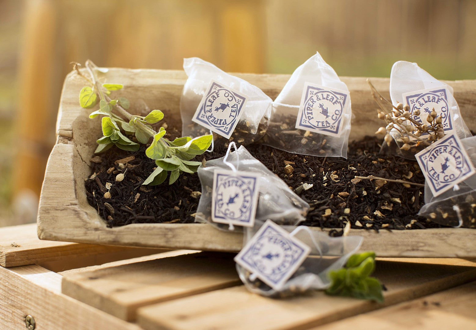 Piper and Leaf Sunrise Chai Bulk Sachets - 70ct Tea Bags, featuring tea bags displayed in a clean, organized manner.