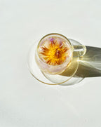 The Qi Glass cups & saucers (2)