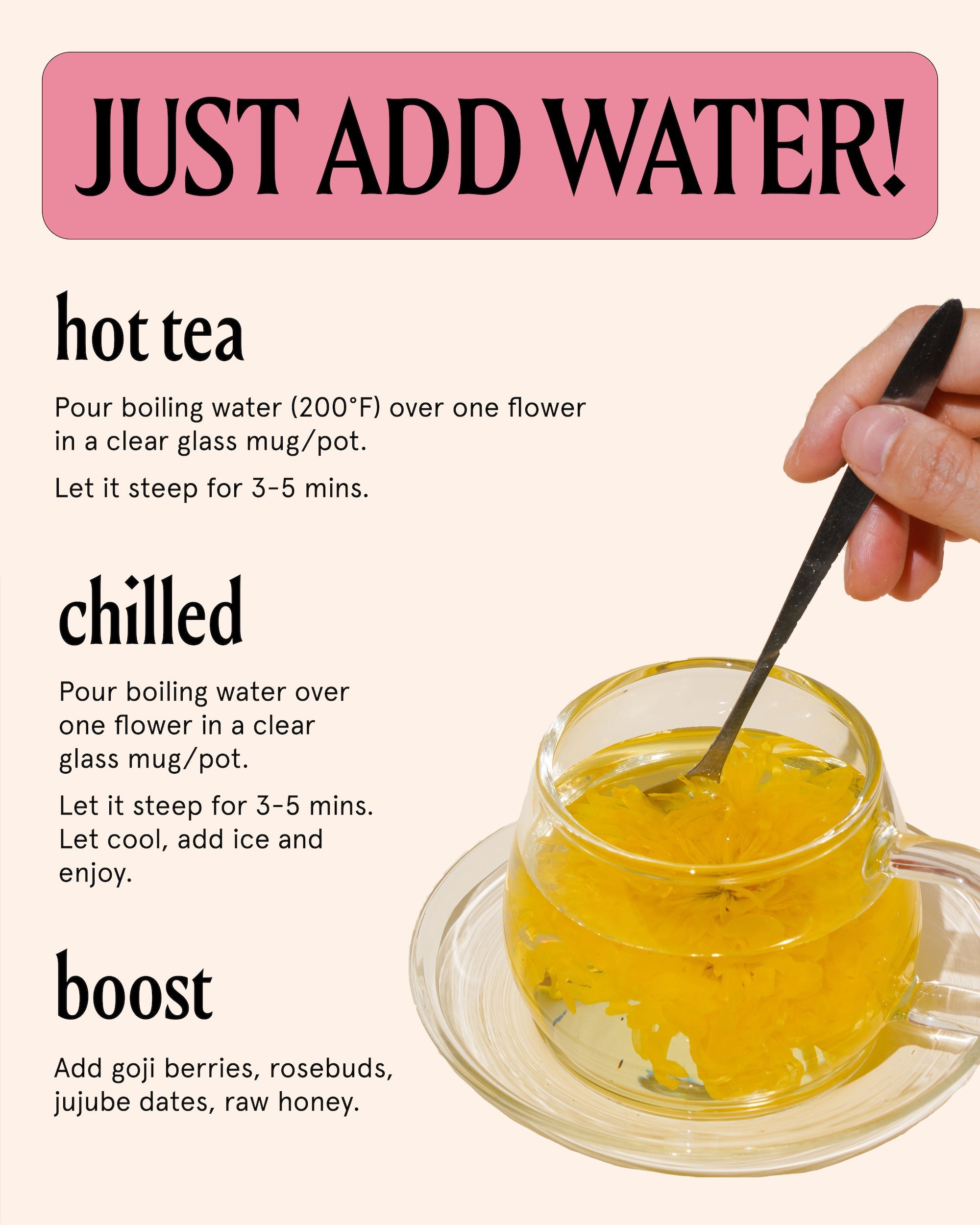 The Qi Royal Chrysanthemum