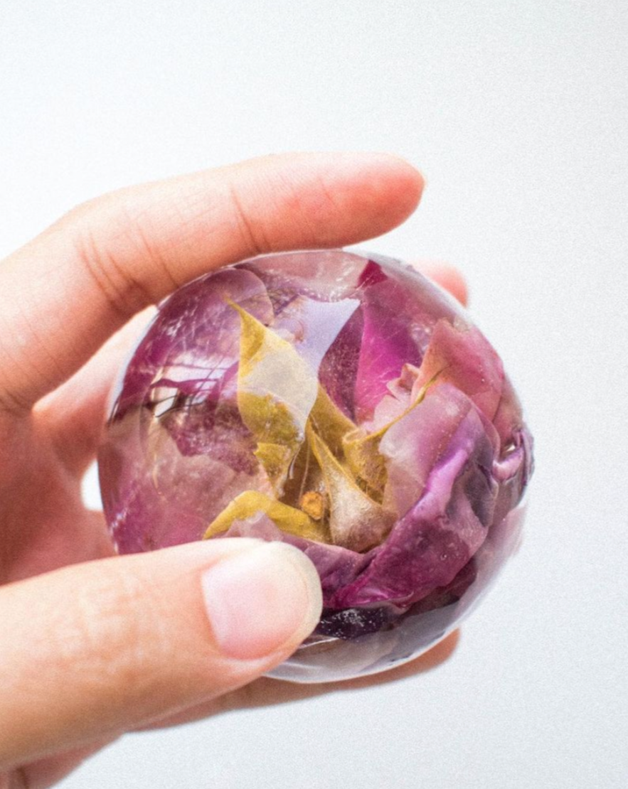 The Qi Shangri-la Rose