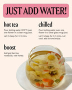 The Qi Wild Chrysanthemum