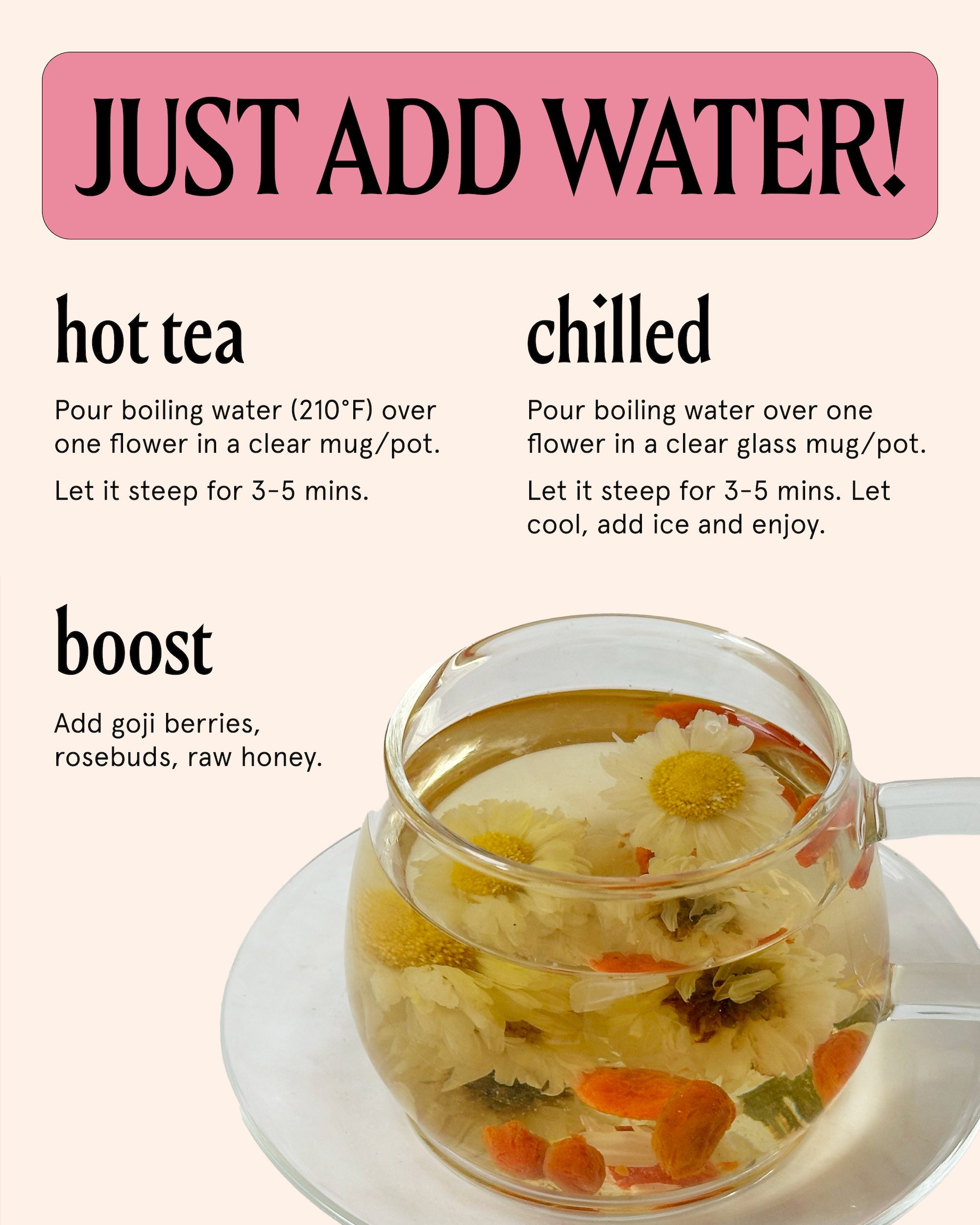 The Qi Wild Chrysanthemum