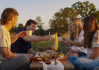 Piper and Leaf Healthy Digestion Herbal Tea