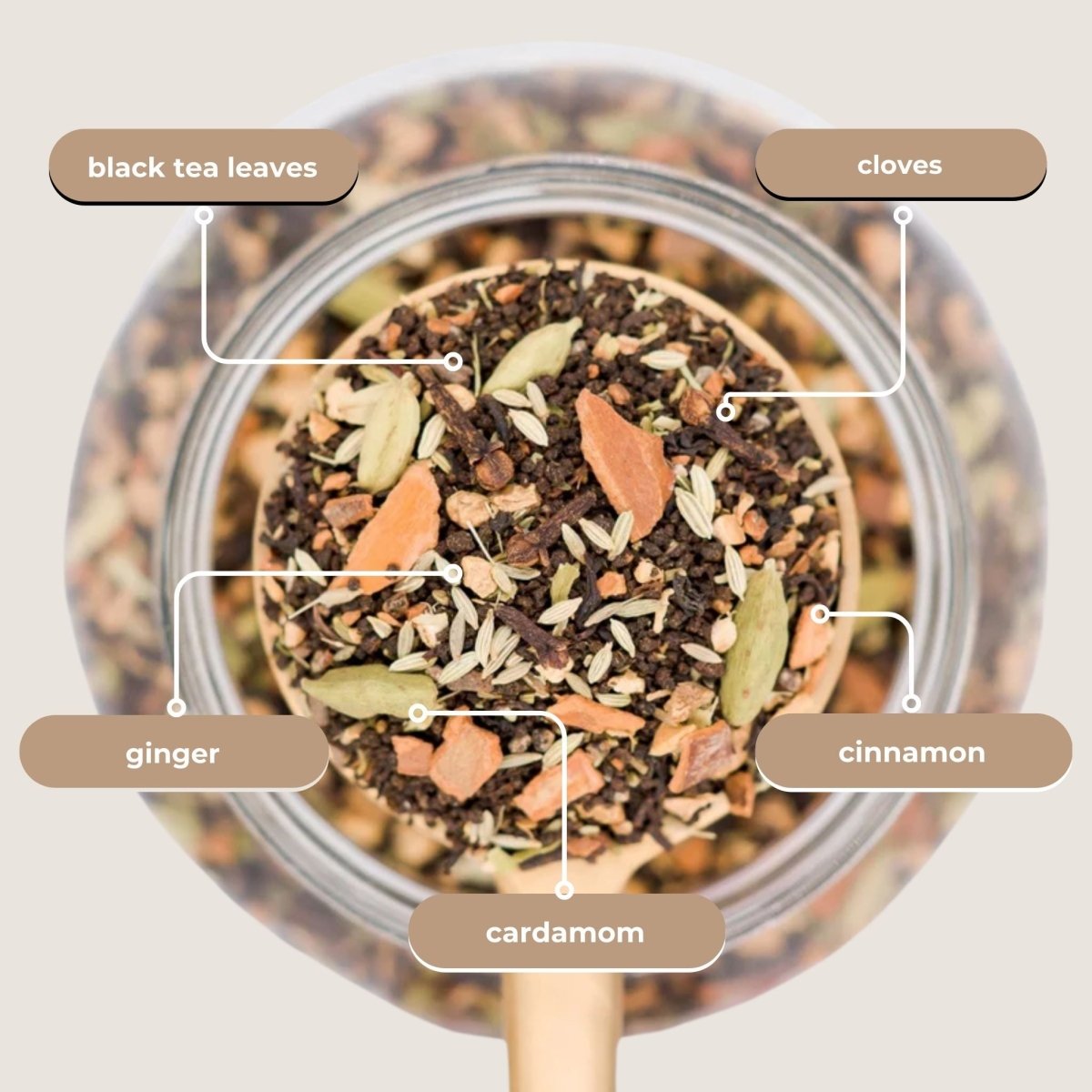 Tea with Tae Bombay Chai Mini Tea Tube (5 tea bags)