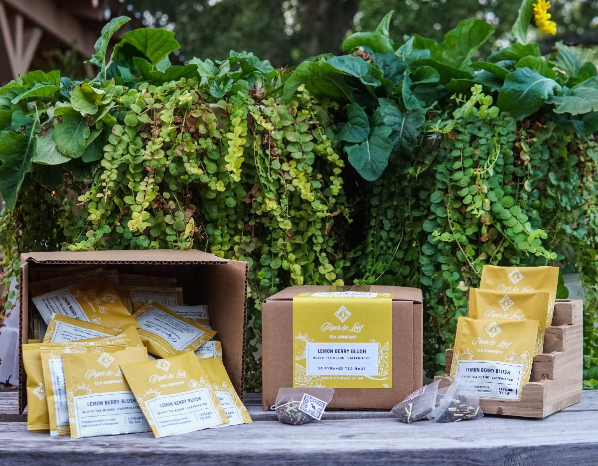 Piper and Leaf Lemon Berry Blush Case of Individually Wrapped Tea Bags- 50ct, featuring 50 individual tea sachets in a case.