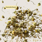 Tea with Tae Chamomile Mini Tea Tube (5 tea bags) Herbal Tea