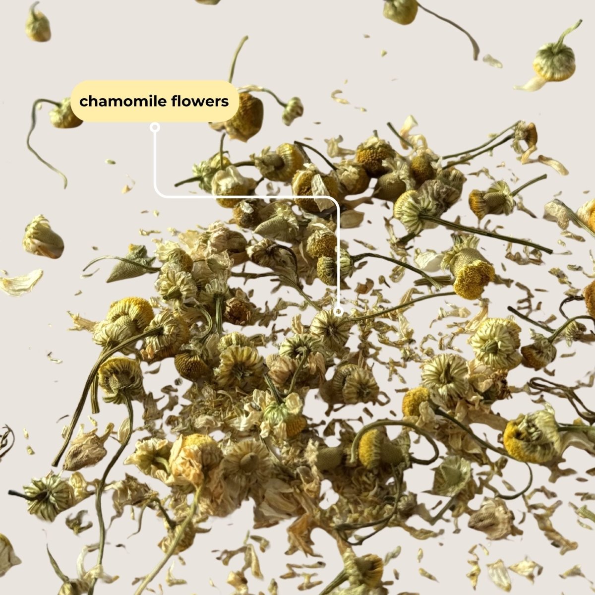Tea with Tae Chamomile Mini Tea Tube (5 tea bags) Herbal Tea