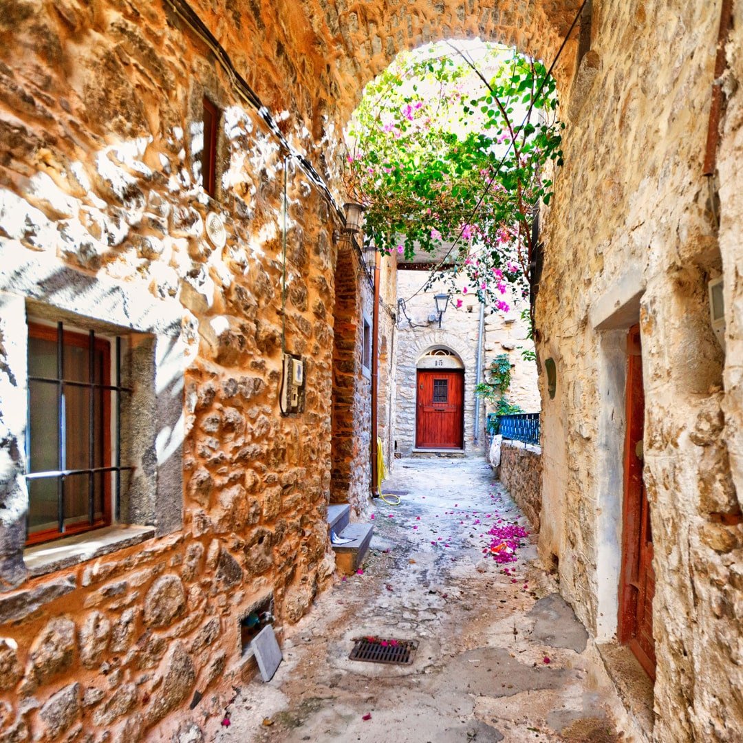 Greek Superherbs Chios Mastic Gum Tea