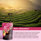 Gardenika Cinnamon Hibiscus Loose Tea, Heart Health & Antioxidant Rich - Caffeine Free - 55+ Cups - USDA Organic & Kosher - 4 oz (113g)