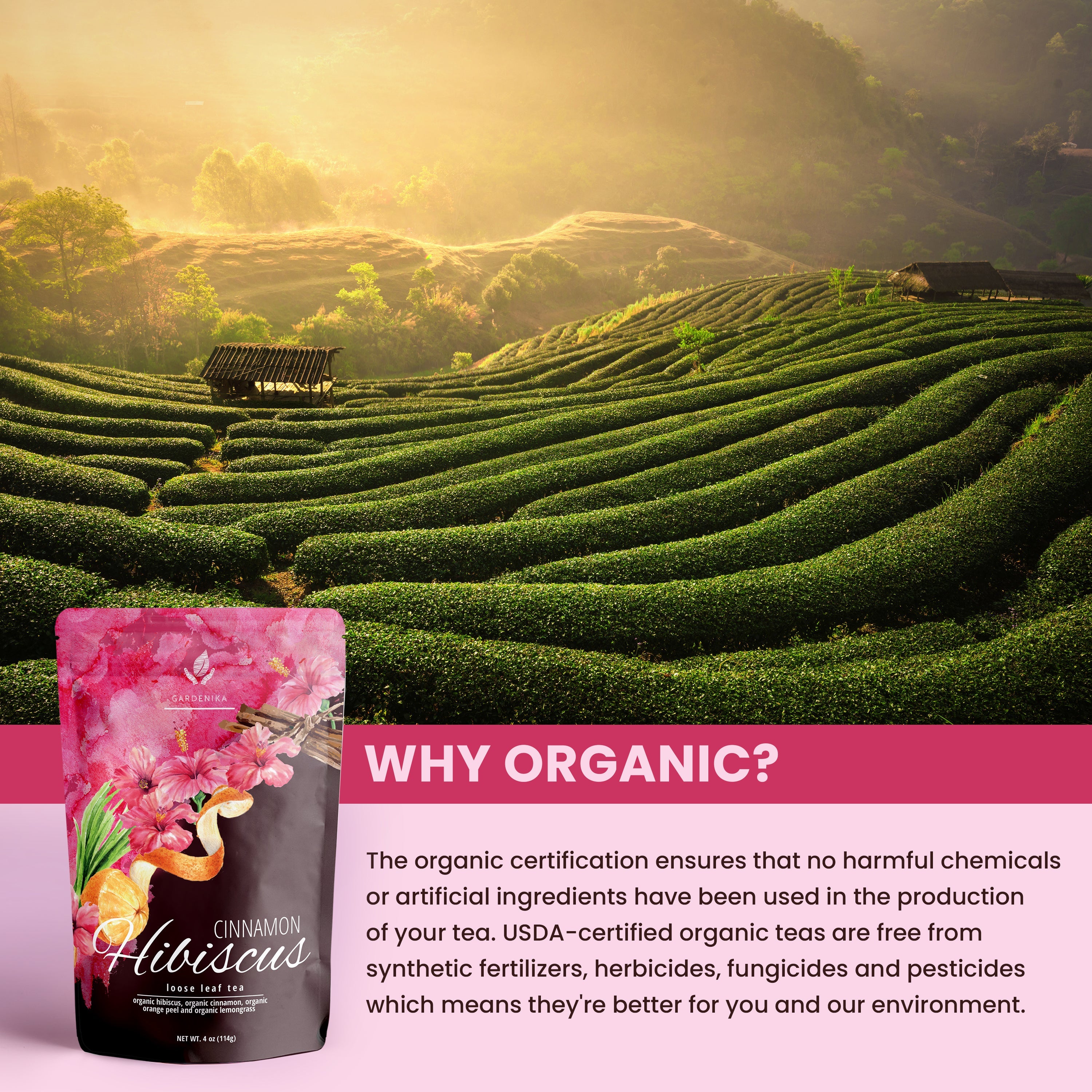 Gardenika Cinnamon Hibiscus Loose Tea, Heart Health & Antioxidant Rich - Caffeine Free - 55+ Cups - USDA Organic & Kosher - 4 oz (113g)