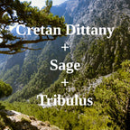 Greek Superherbs Sleep Tea