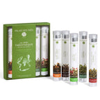 Palais des Thés the Mini Tea Library (5 Tea Tasting Tubes) Oolong Tea