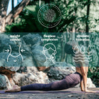 Greek Superherbs Chios Mastic Gum Tea