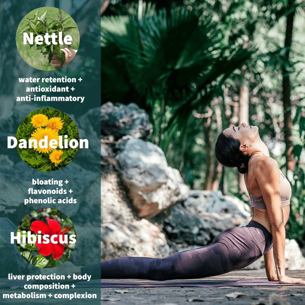 Greek Superherbs Chios Mastic Gum Tea