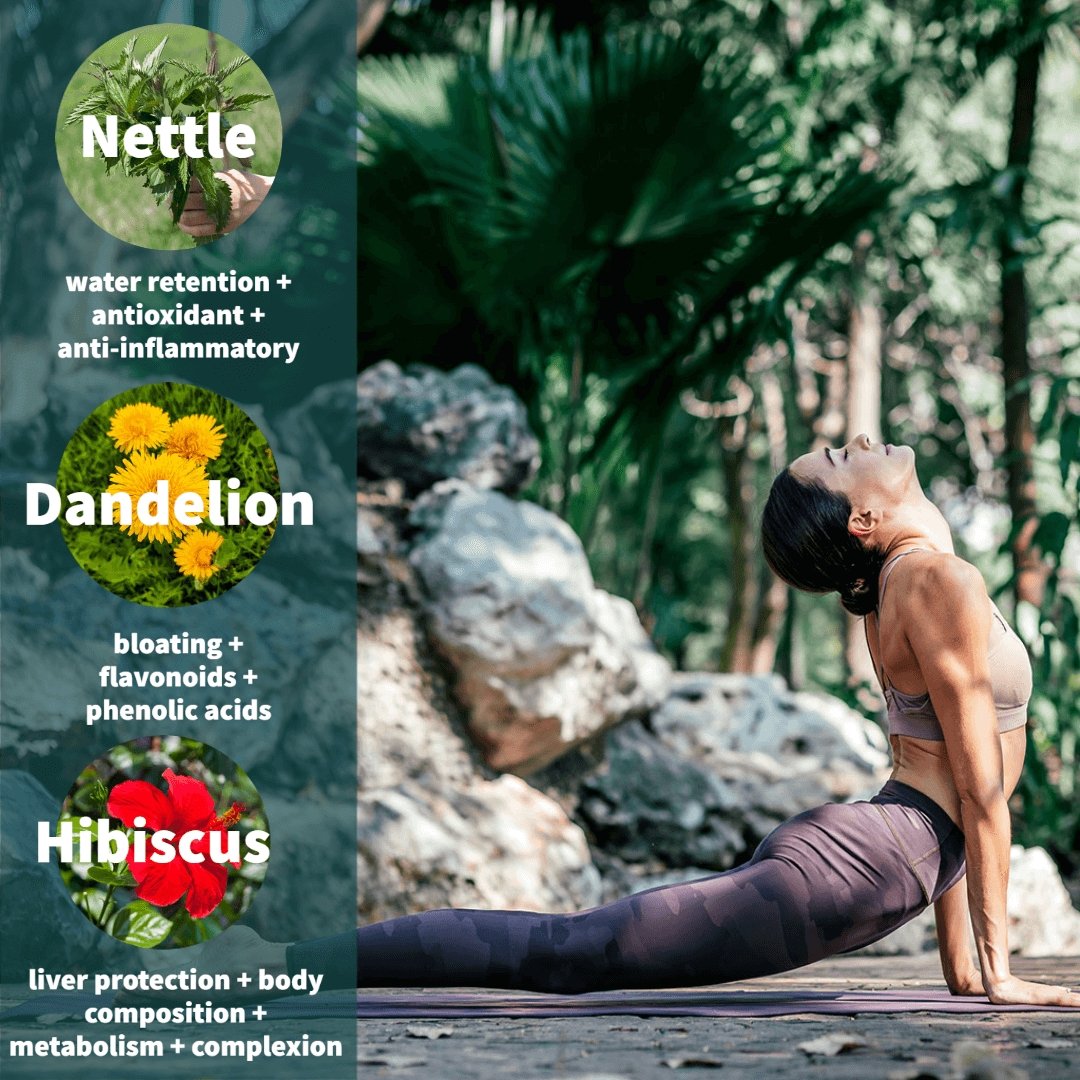 Greek Superherbs Chios Mastic Gum Tea