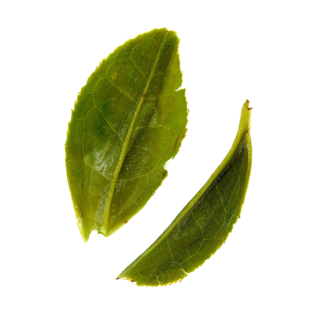 August Uncommon Rare Leaves Emerald - Single Estate Pi Lo Chun Green Tea