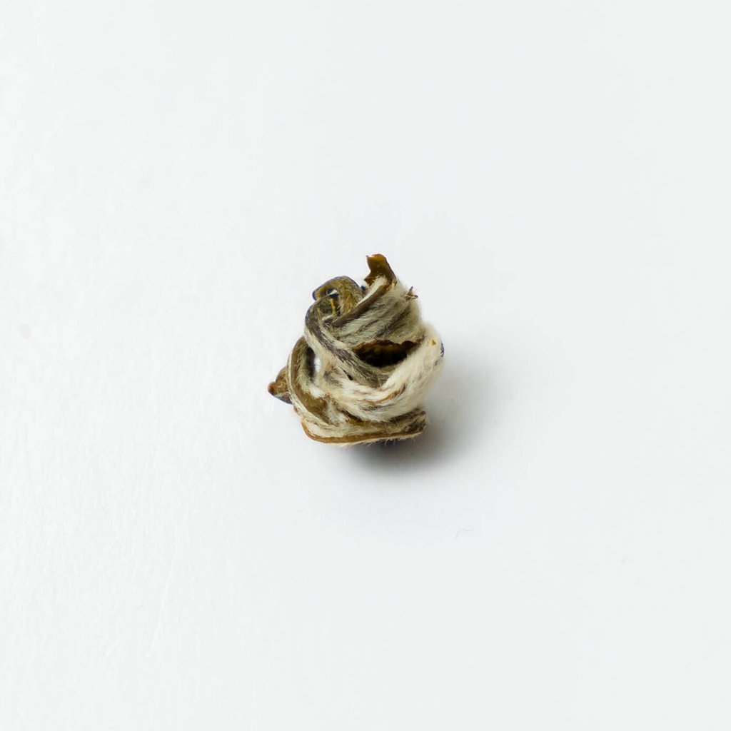 Farmers' Green by Nepal Tea, featuring a single green tea leaf on a white background