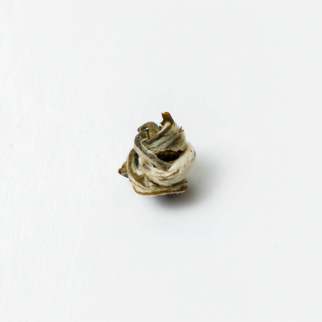 Farmers' Green by Nepal Tea, featuring a single green tea leaf on a white background
