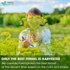FreshDrinkUS Sleep & Digest Tea Duo — Chamomile & Fennel