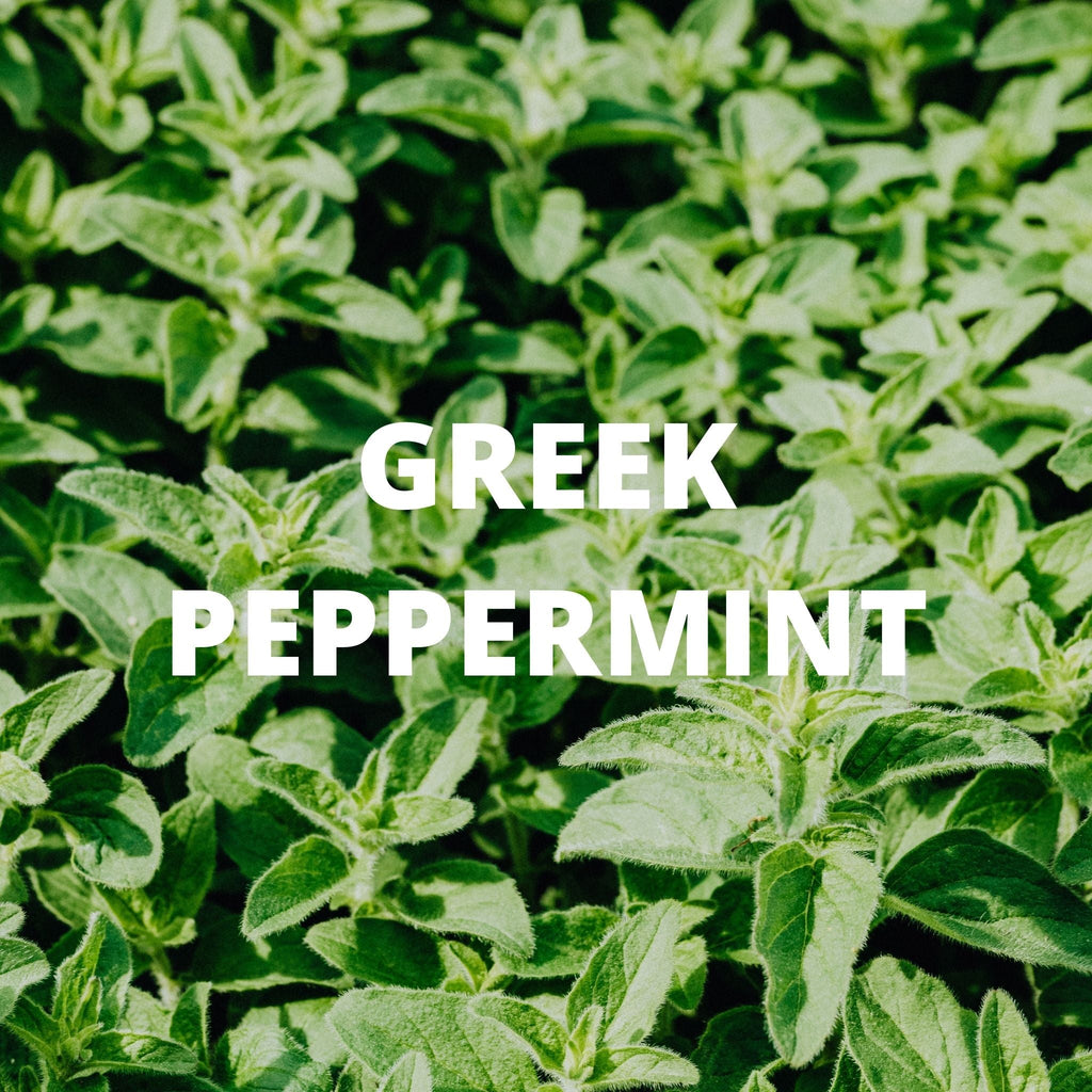 Greek Superherbs Immune Tea