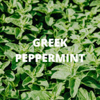 Greek Superherbs Immune Tea