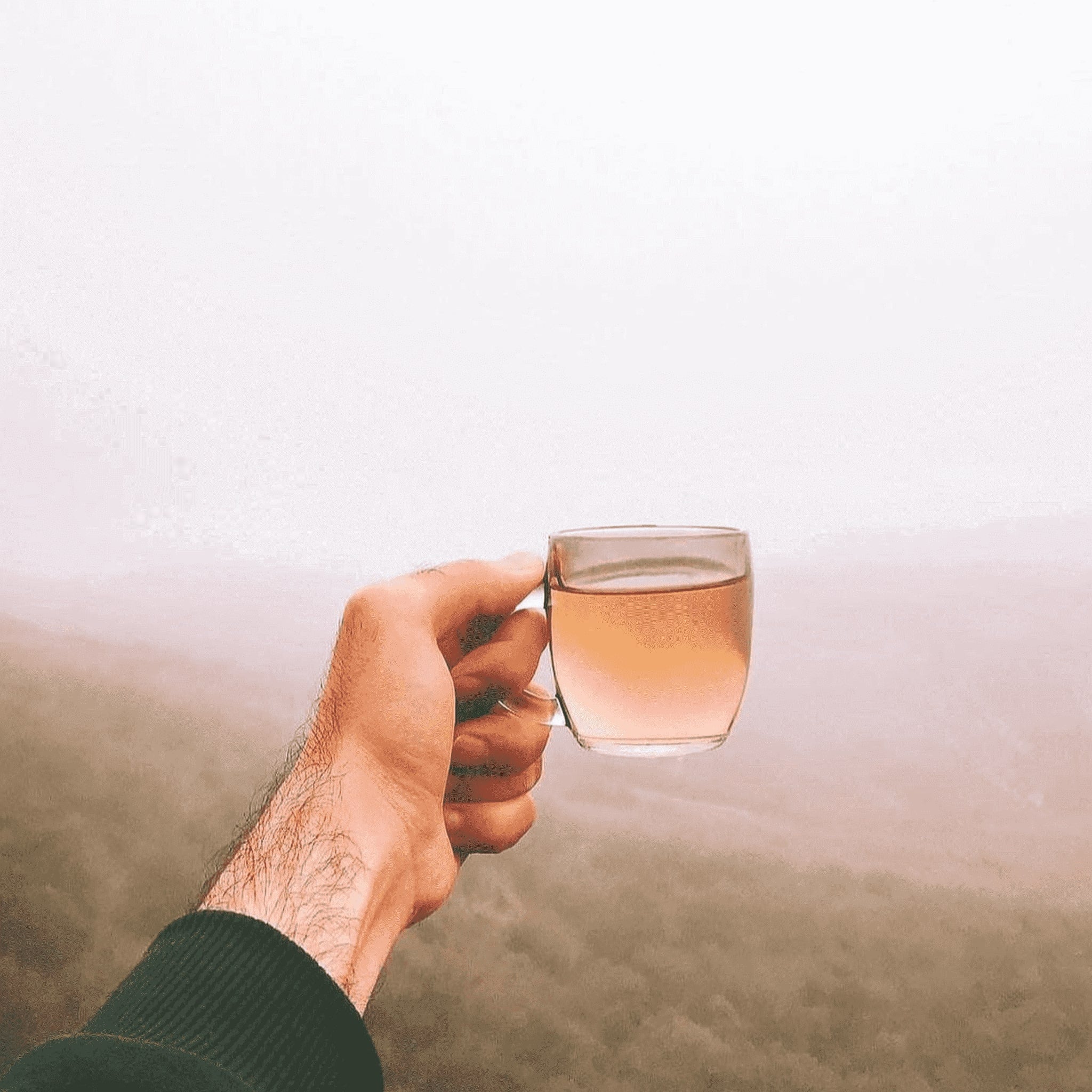 Greek Superherbs Immune Tea