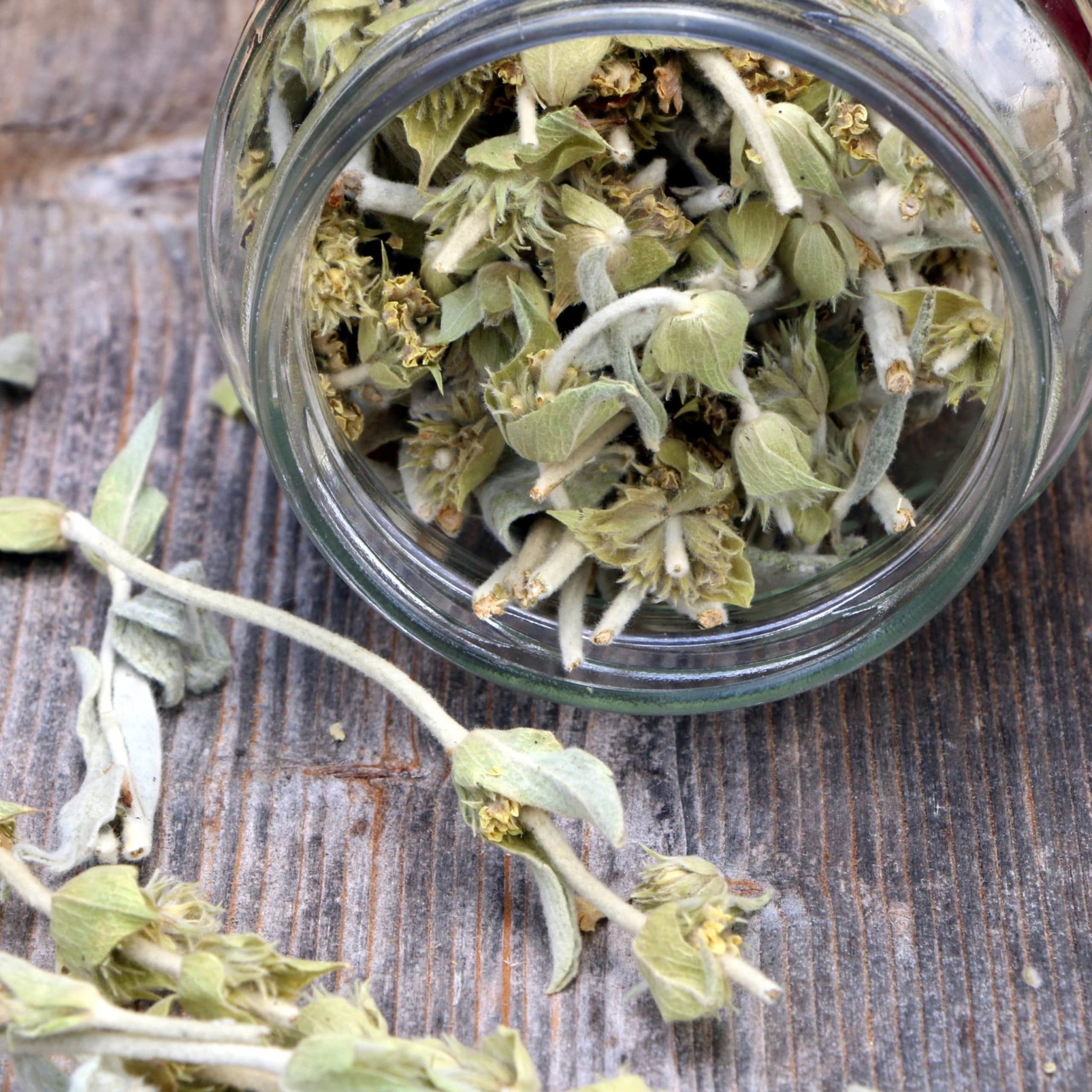 Greek Superherbs Greek Chamomile Tea (Magnesia)