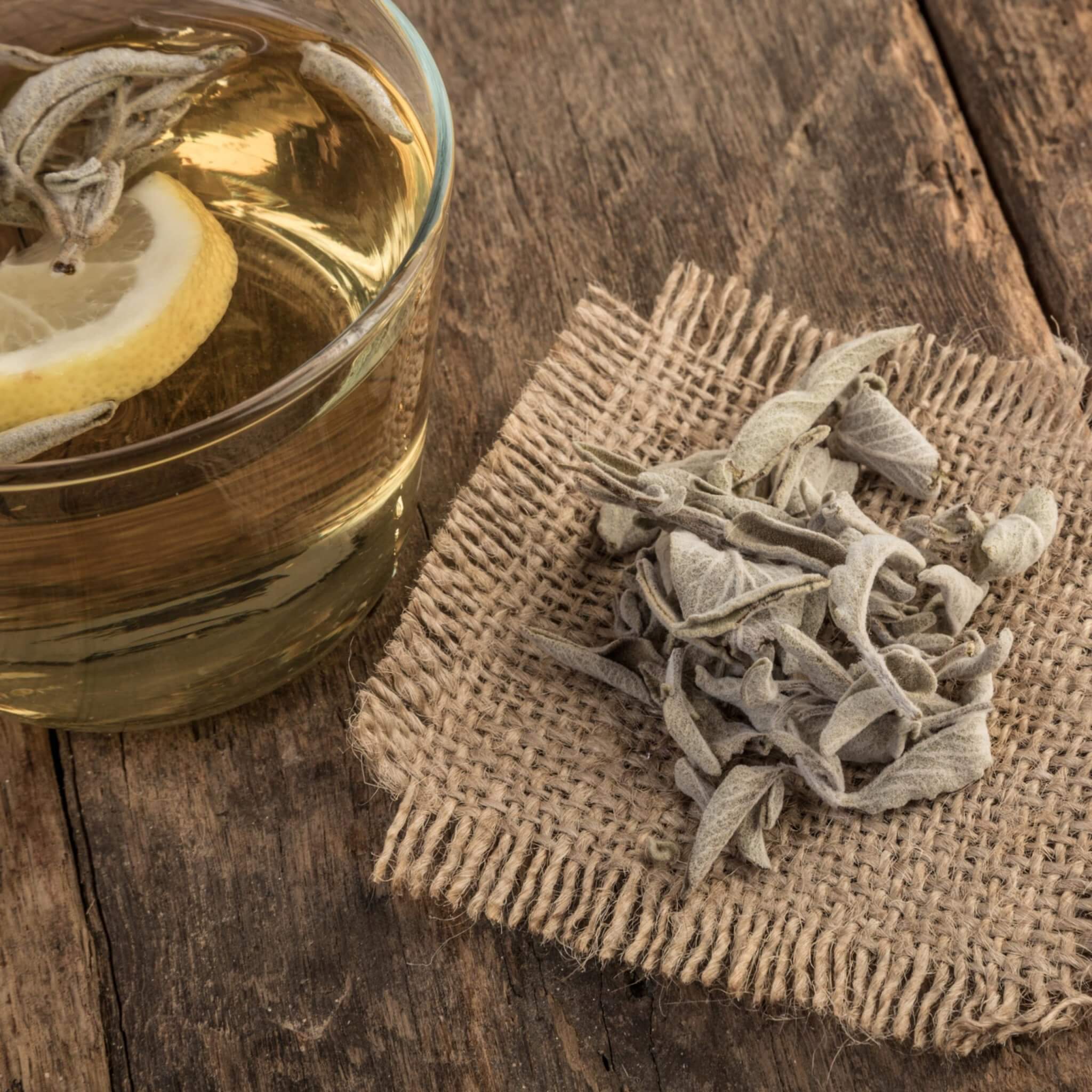 Greek Sage Tea (Ikaria Blue Zone) Herbal Tea